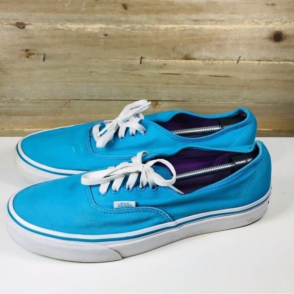 Vans Skate Shoes